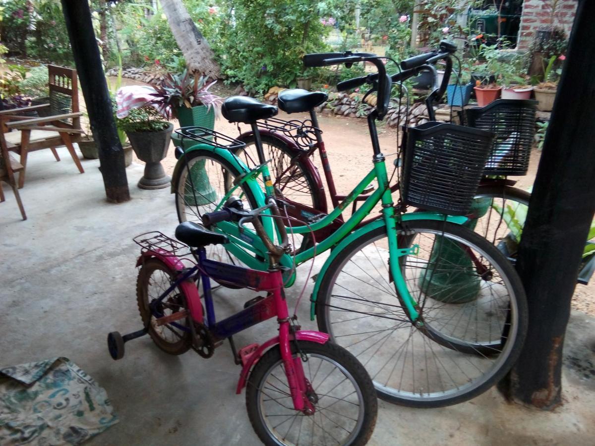 Lake House Homestay Anuradhapura Luaran gambar