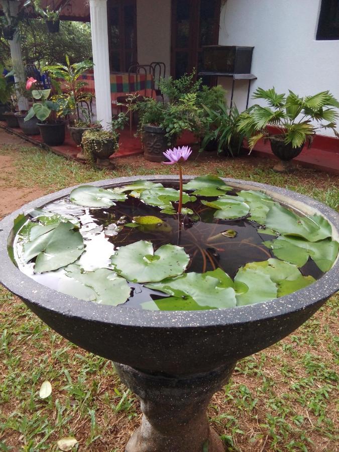 Lake House Homestay Anuradhapura Luaran gambar